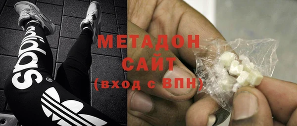 стаф Алзамай