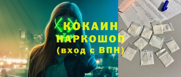стаф Алзамай