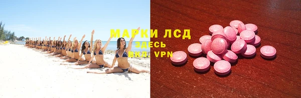 стаф Алзамай