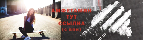 стаф Алзамай