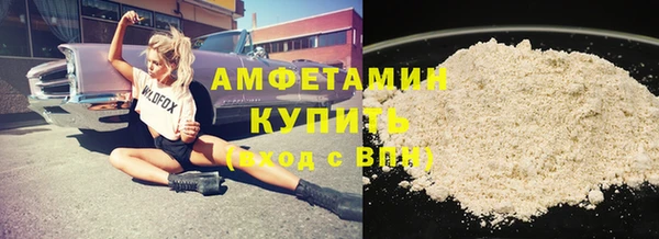 стаф Алзамай