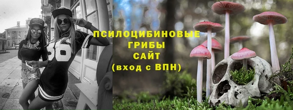 стаф Алзамай