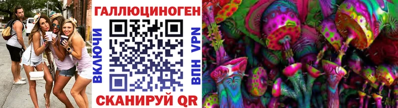 Псилоцибиновые грибы прущие грибы  хочу   Устюжна 